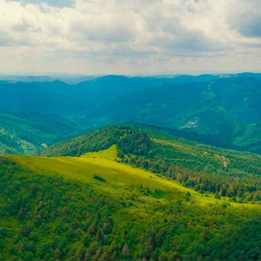 Самозалепващо фолио Venilia Feldberg 67,5см