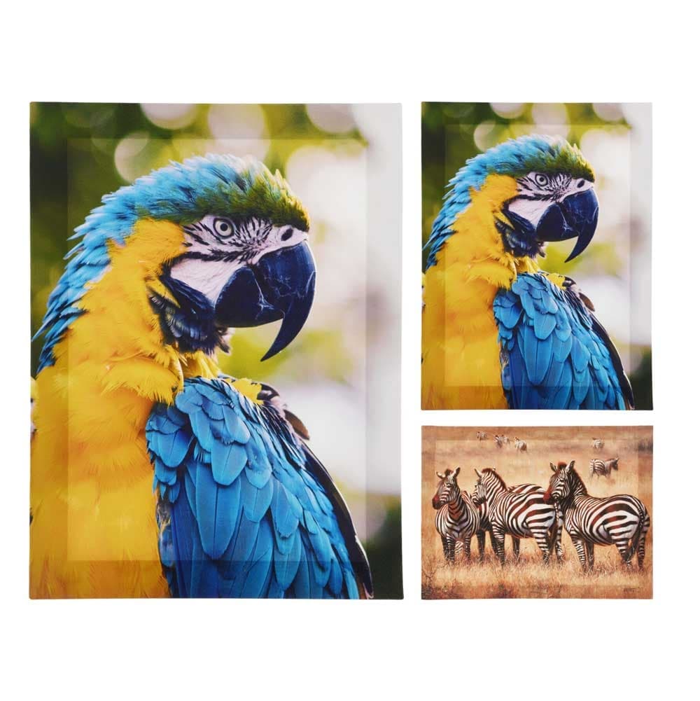 Картина Animal 30x40x1,5см