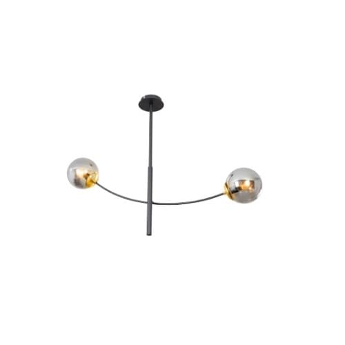 Осветително тяло Ziel Lighting SE-P3058/2 E27 черно 2х60W