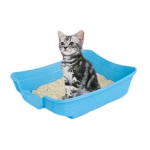 Пластмасова тоалетна POLLY IMAC  