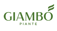 GIAMBO