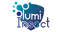 LUMI INSECT