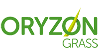 ORYZON GRASS