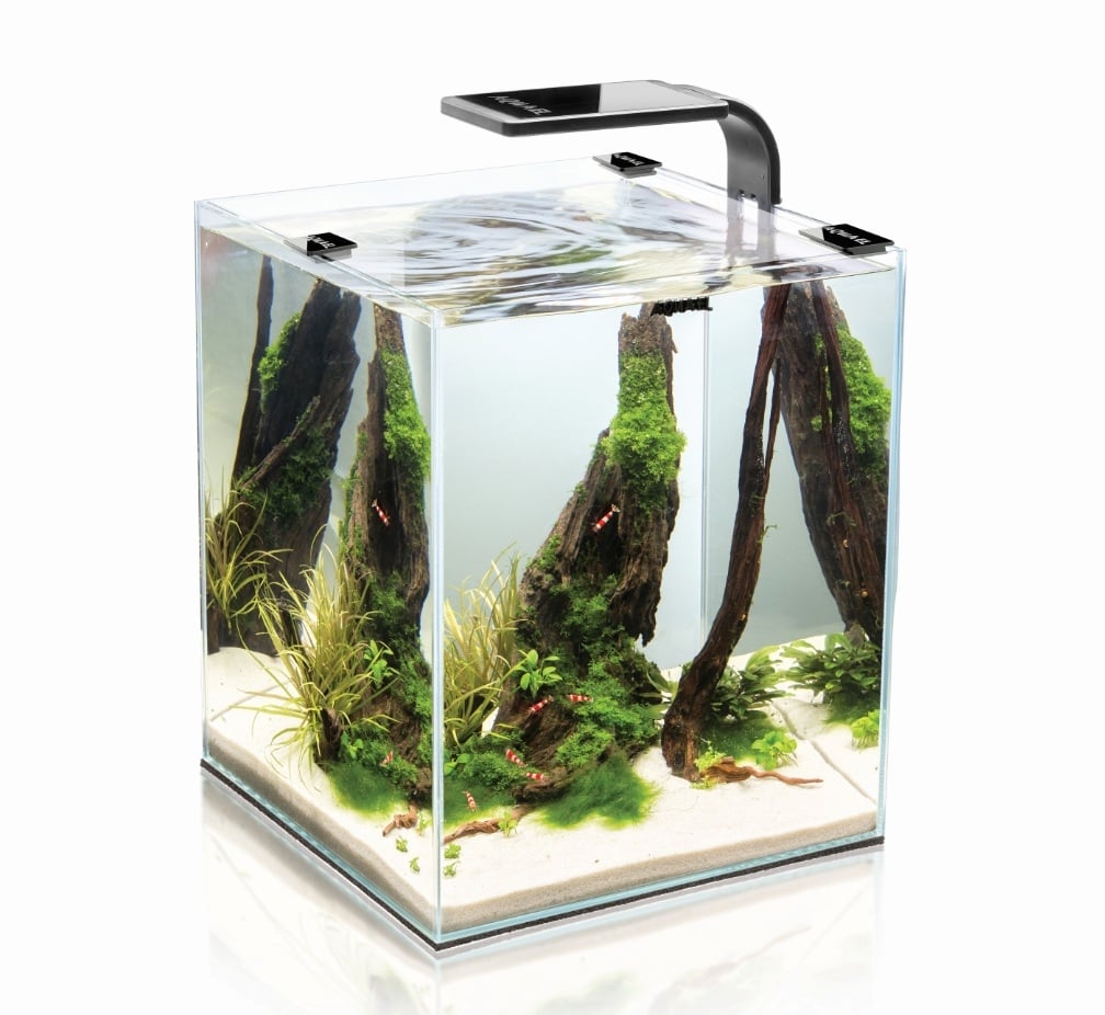 Аквариум Smart 10 black / LED лампа 20х20х25см / 10л