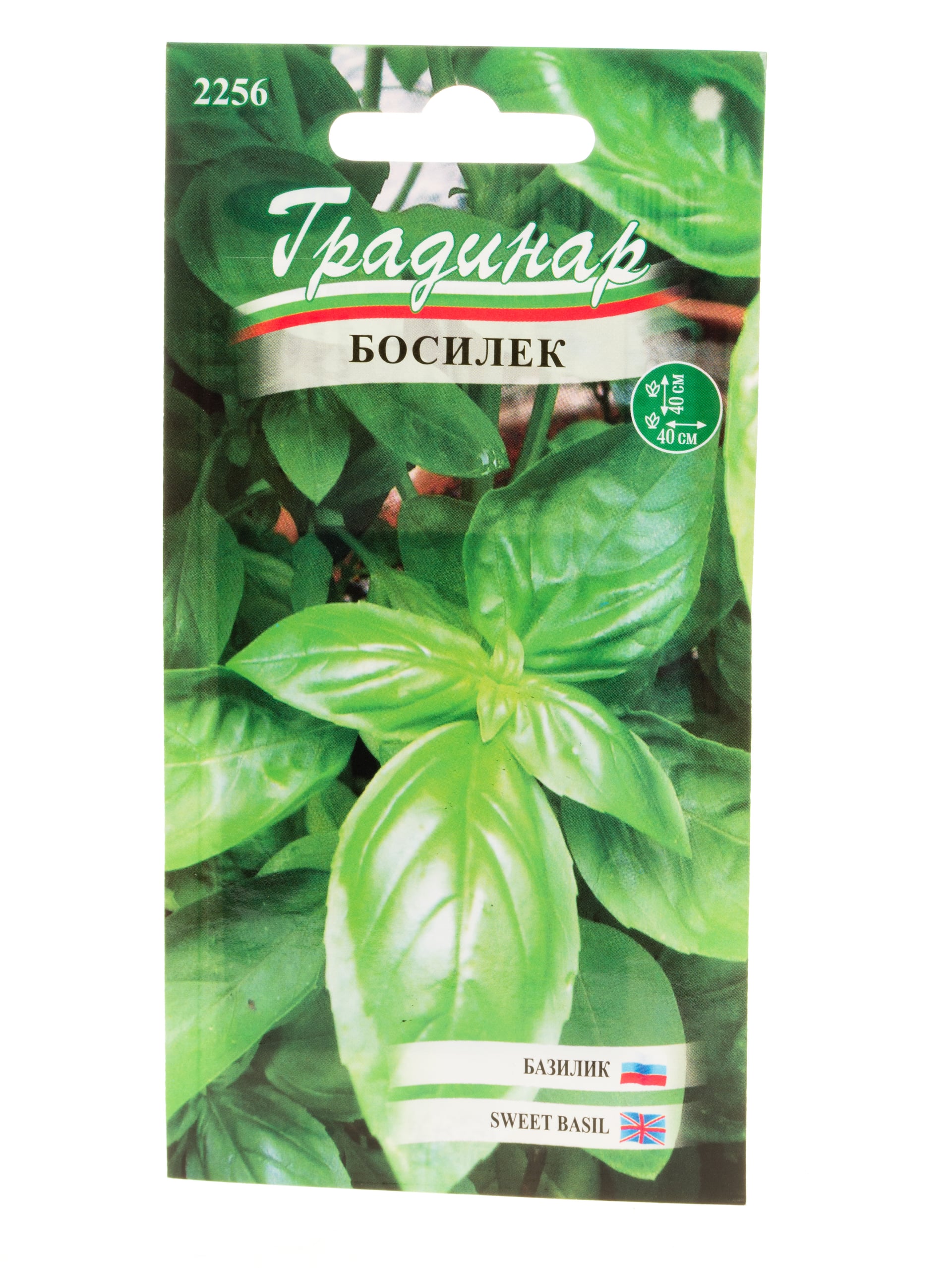 Семена за босилек