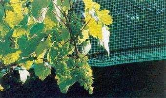 Мрежа срещу градушка 2210WO IRIDE BASE - 3Х100 м