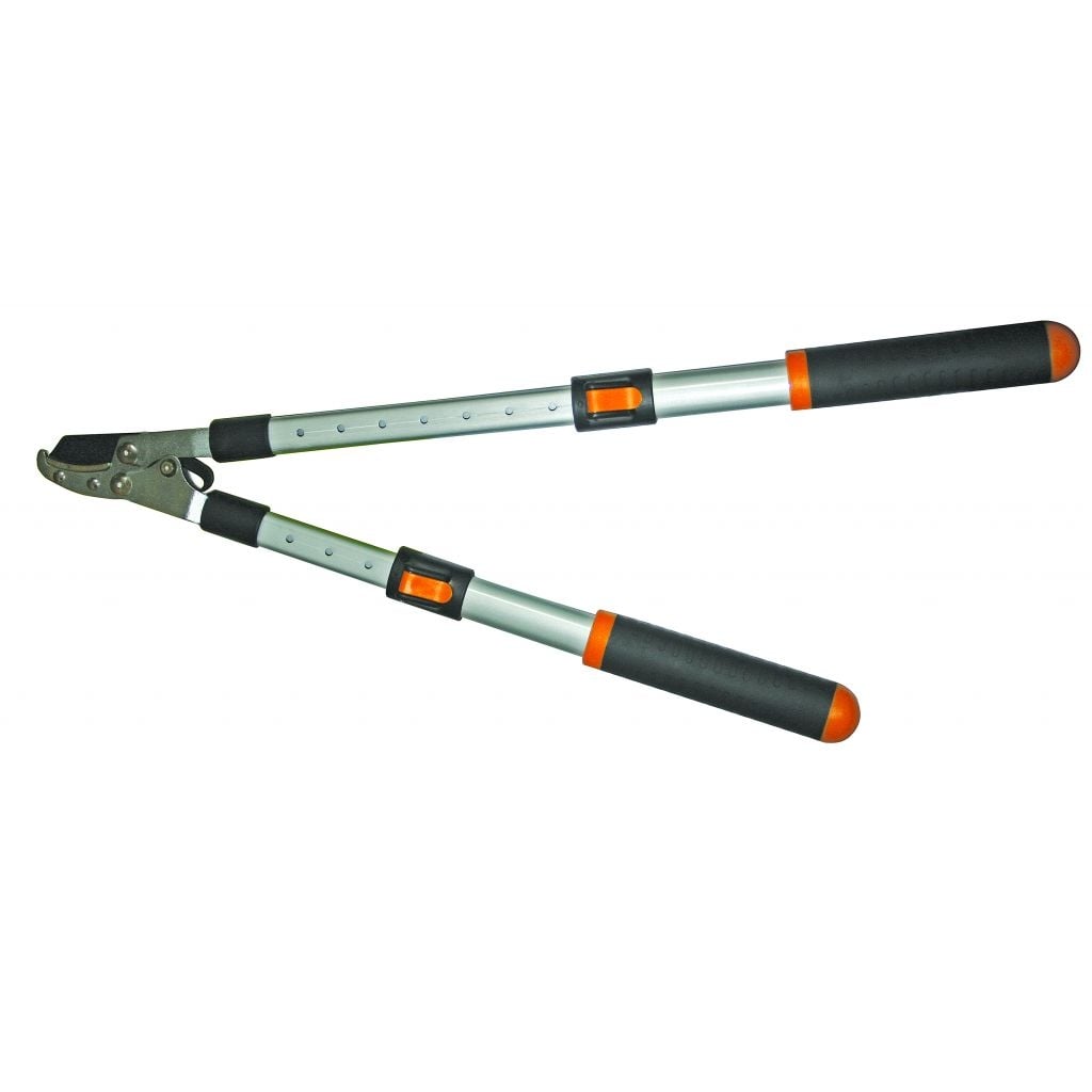 Ножица за клони с телескопична дръжка Top Garden 20-28ʼʼ