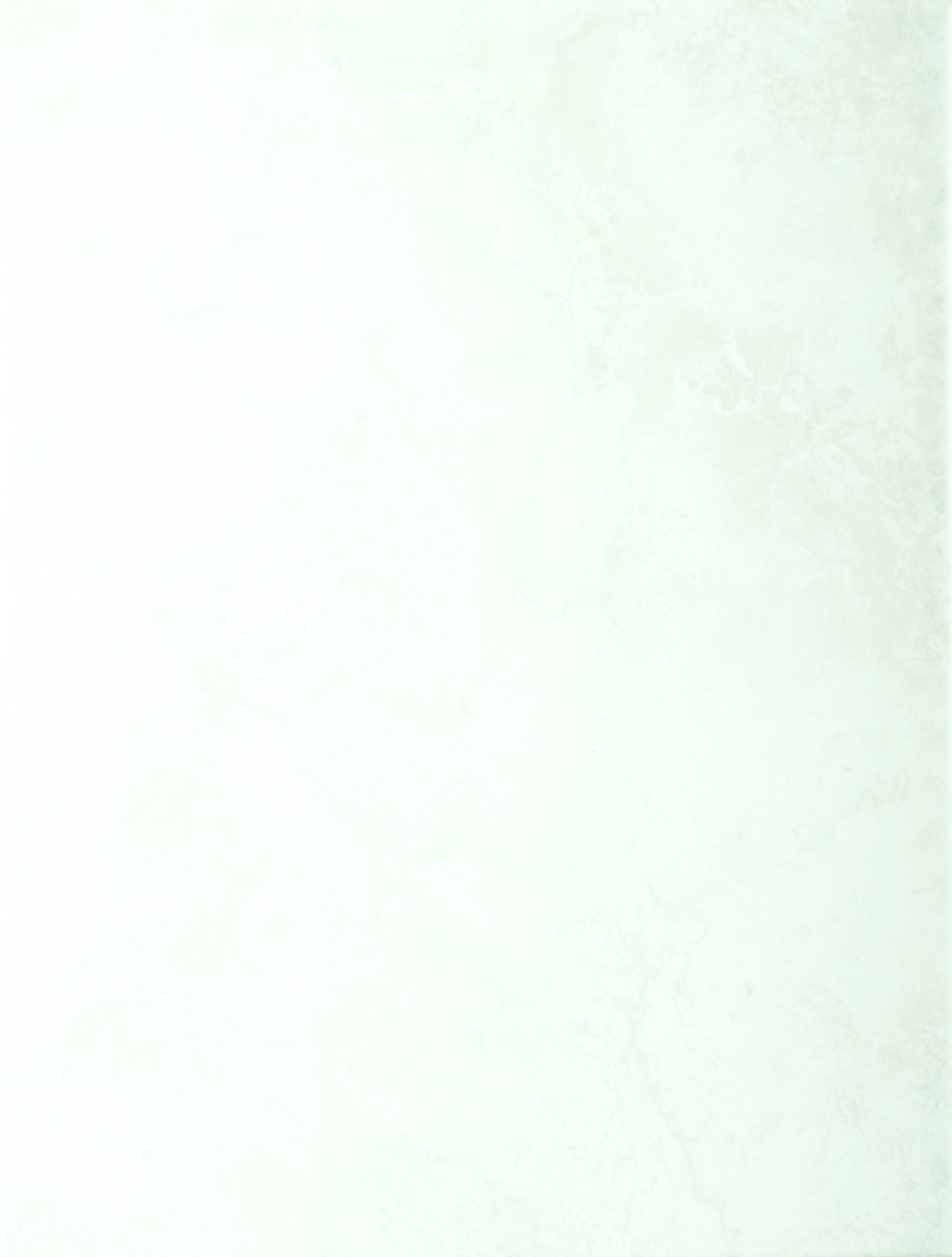 Стенни плочки KAI Хелена светлосиви 250x330мм 