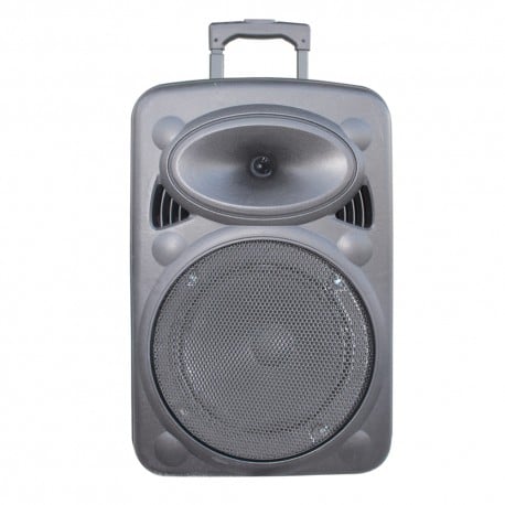 Преносим активен високоговорител Elite PS-10 / 10”