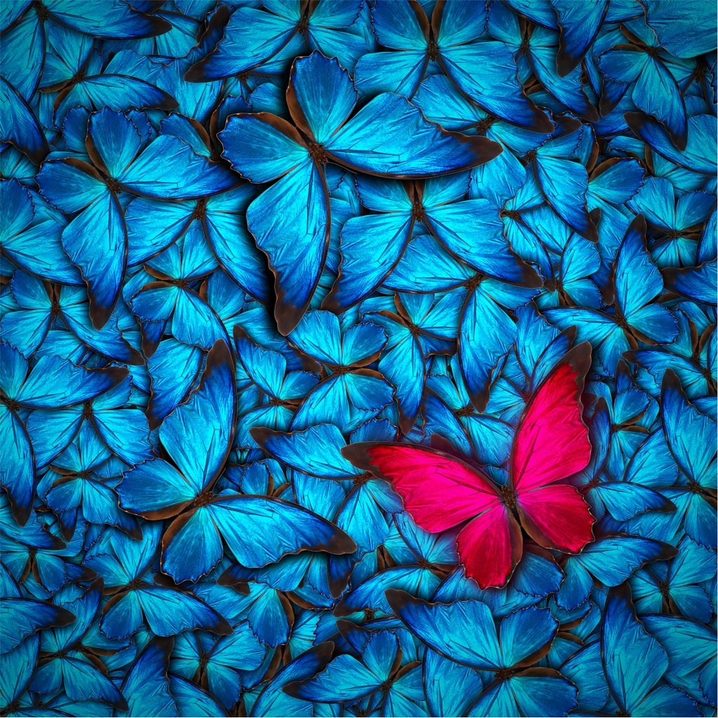 Картина Glass Art KGLS-1052 Пеперуди 30x30 см
