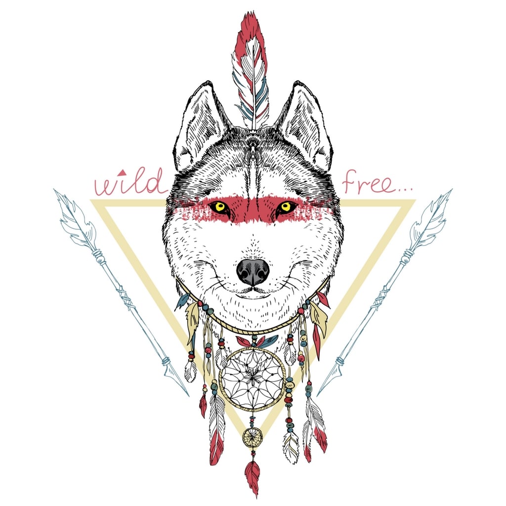Картина Canvas FCV-094 wild / free 68x68 см