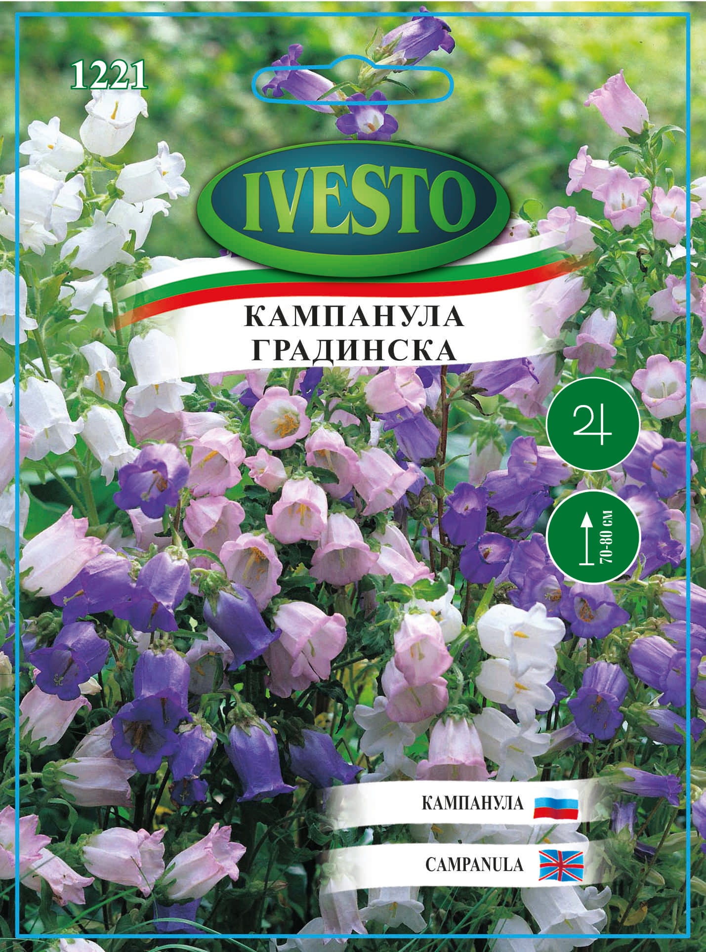 Семена Ivesto Кампанула 1221