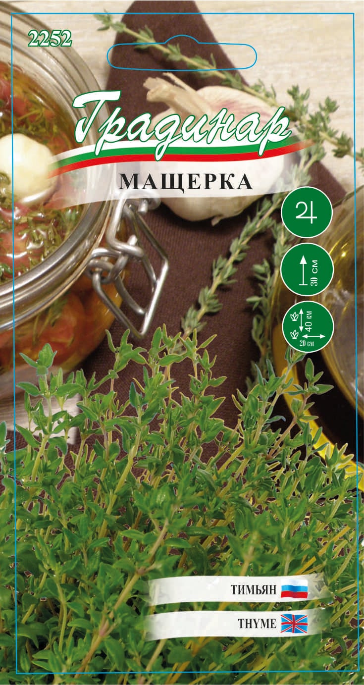 Семена Мащерка 2252