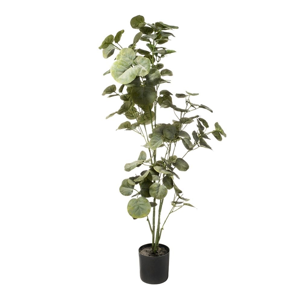 Изкуствено цвете My Garden KD6334-110-22 Евкалипт 110 см