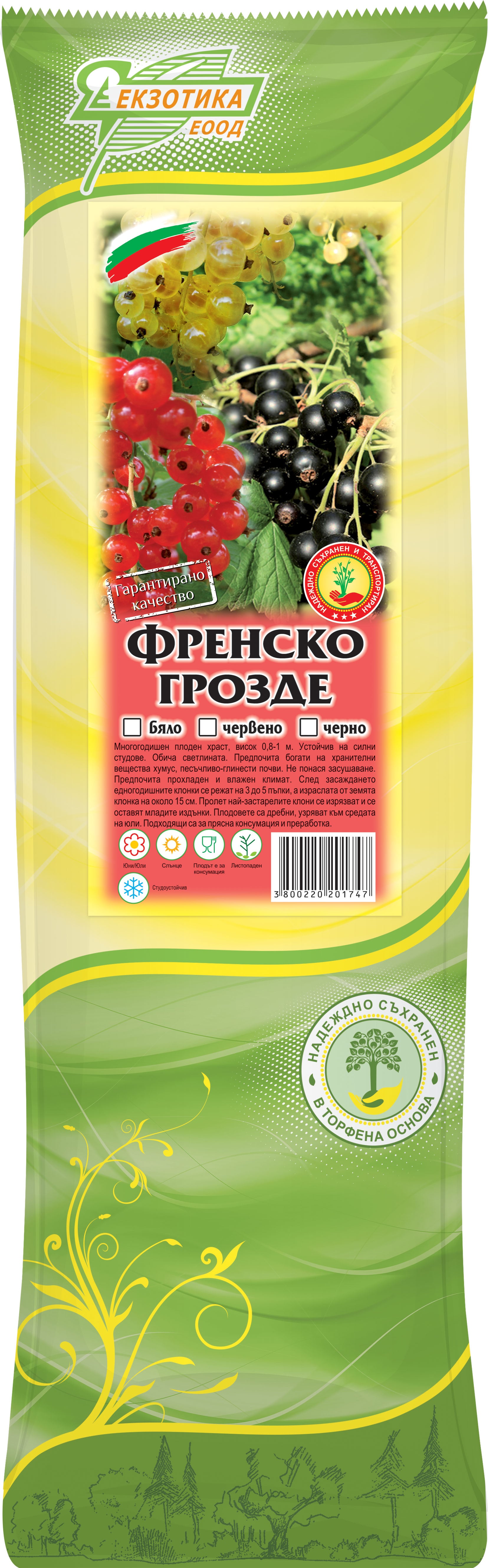 Френско грозде с пакетиран корен