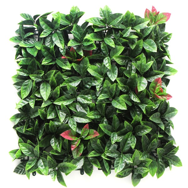 Пано изкуствена зелена декорация My Garden Photinia 50х50 см 