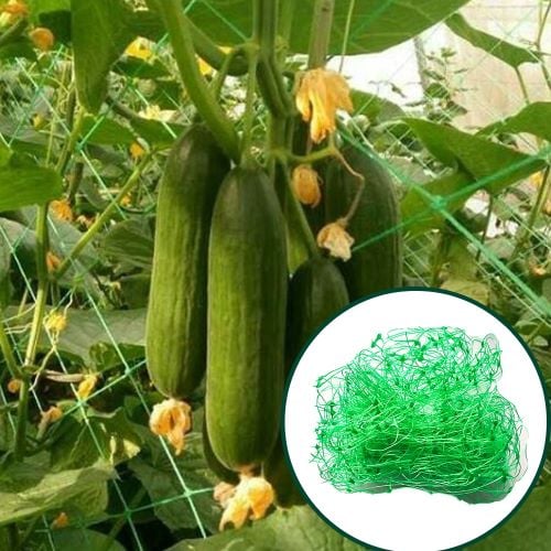 Поддържаща мрежа за пълзящи растения My Garden CPDA20231 / 1.7х10м 