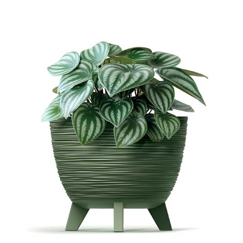 Кашпа Furu 5615C 29х29х24см зелена