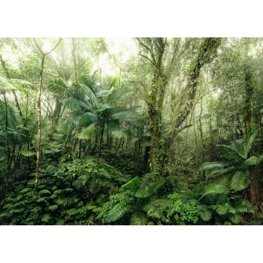 Фототапет Mindfulness 350х250см