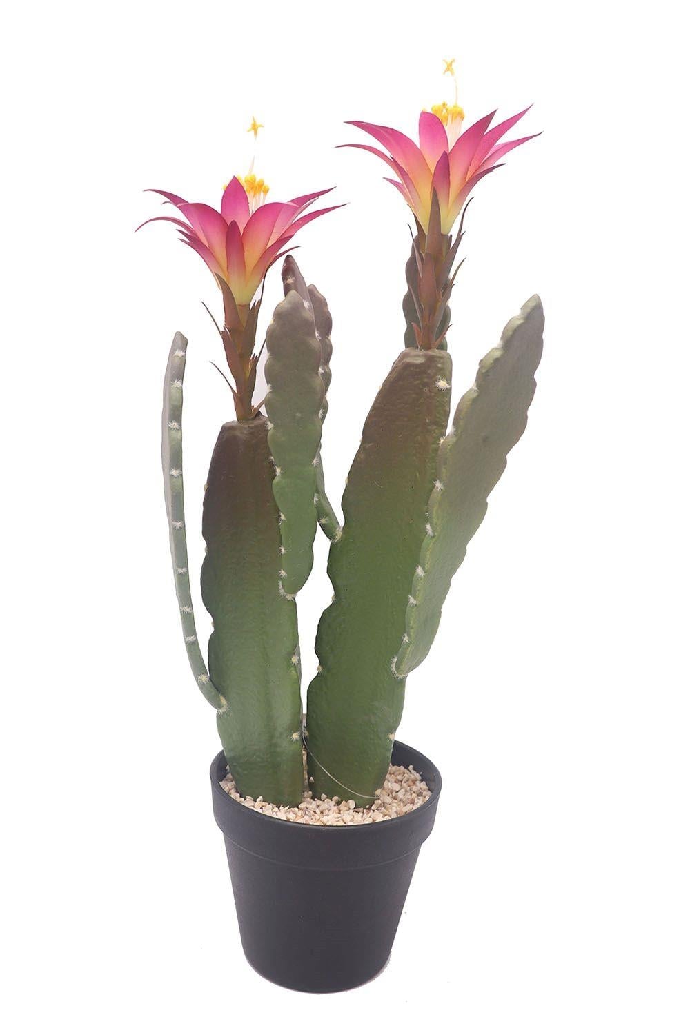 Изкуствено цвете в пластмасова саксия My Garden Cactus лилаво/зелено