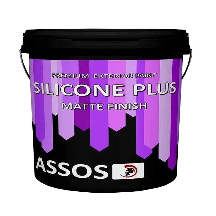 Фасадна база за тониране M Assos Silicone Plus 2.73л