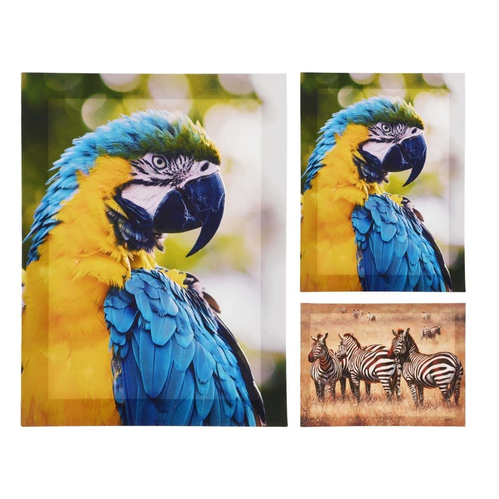Картина Animal 30x40x1,5см