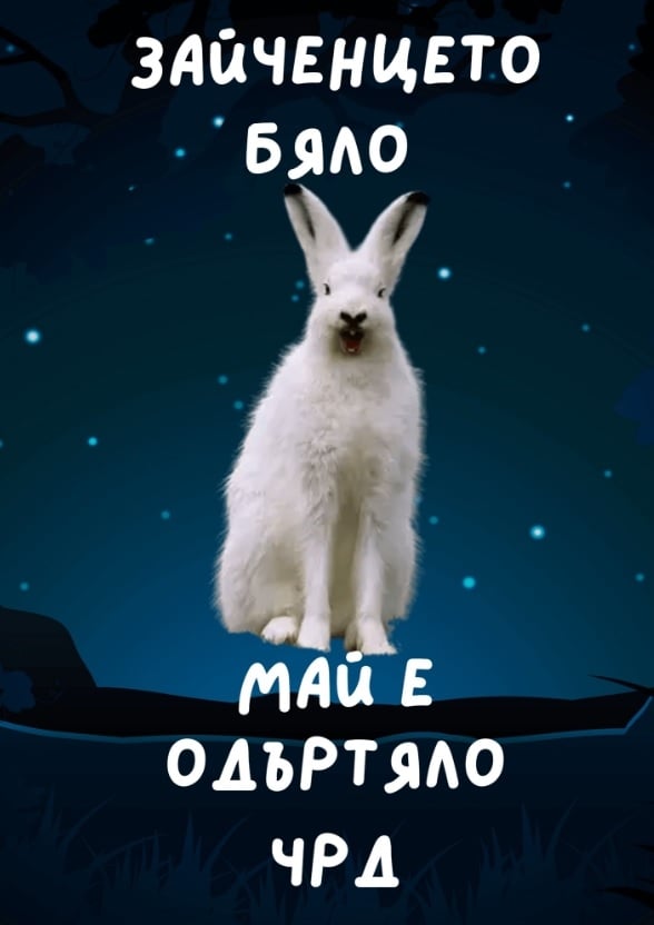 Картичка Зайченцето бяло май е одъртяло