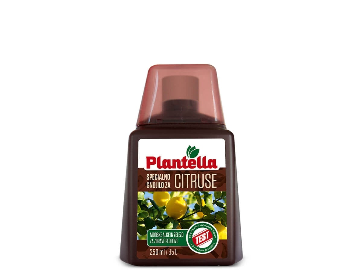 Течен тор за цитруси концентрат Plantella 250 мл