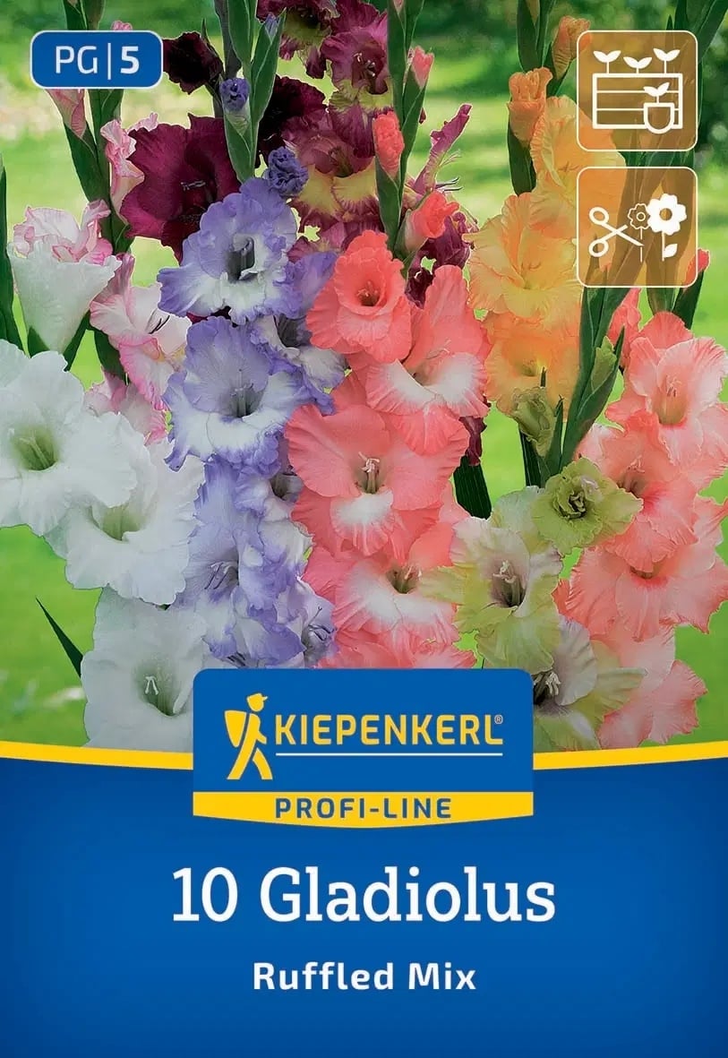 Луковици гладиола Ruffeld Mix 10 броя