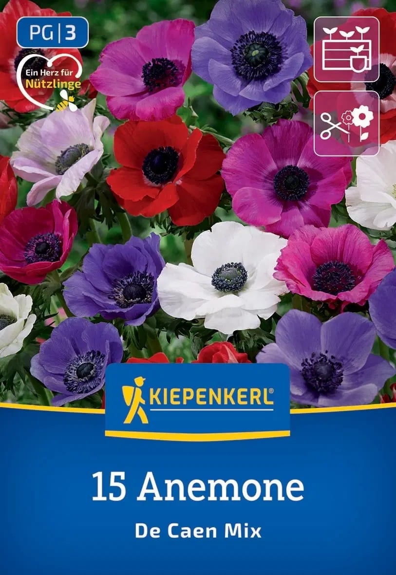 Луковици анемоне De Caen микс 15 броя