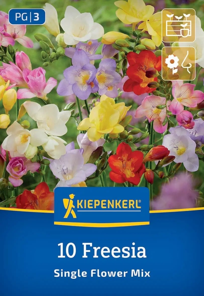 Луковици фрезия микс 10 броя