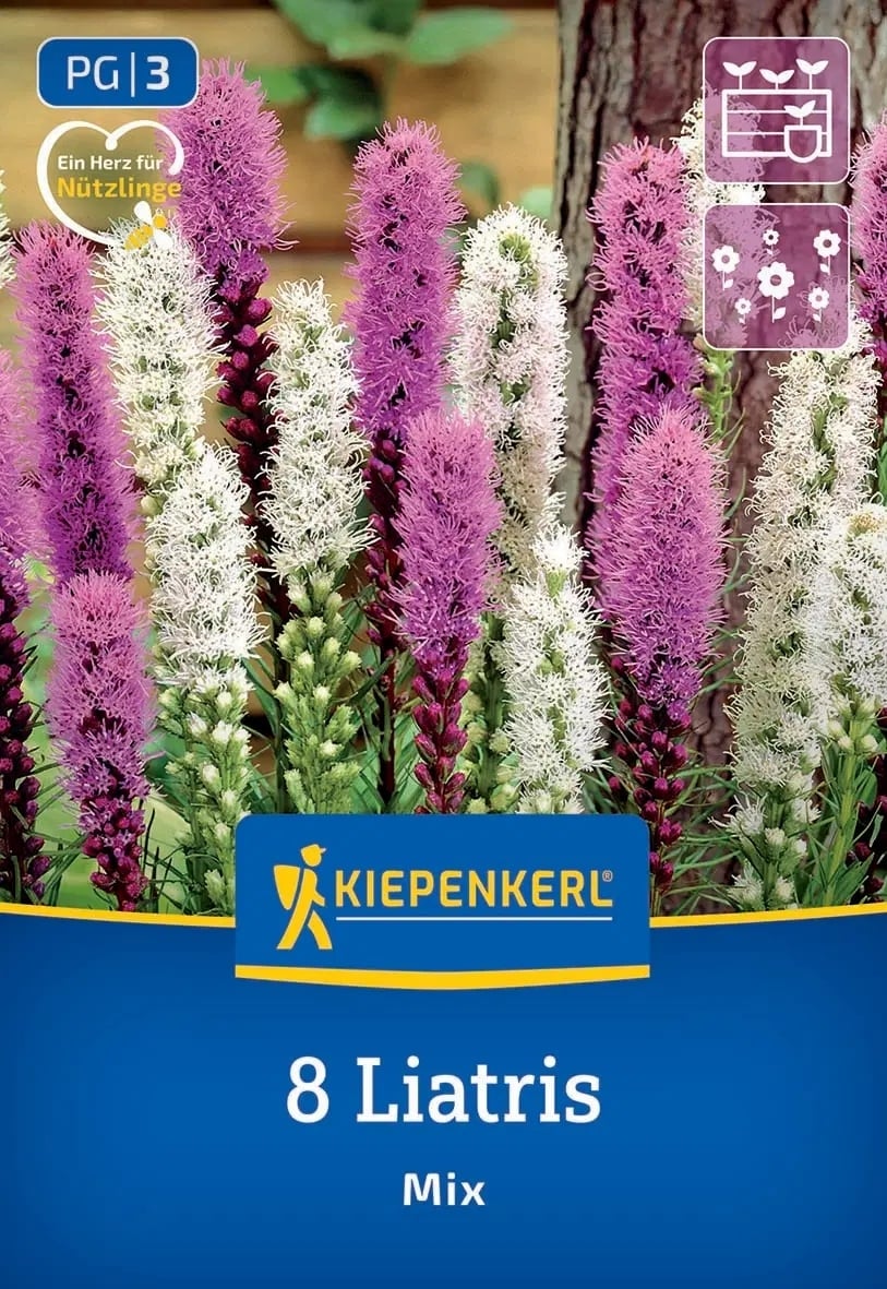 Луковици лиатрис микс 8 броя
