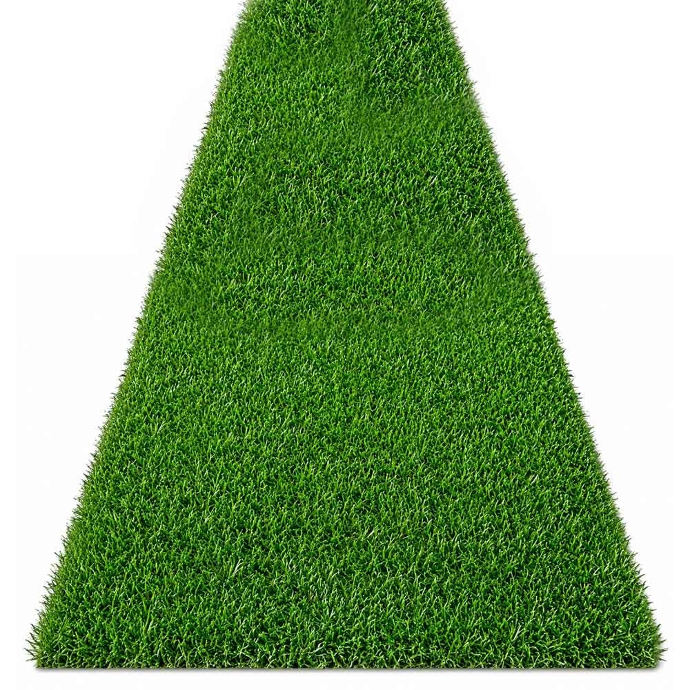 Декоративна оргадна мрежа жив плет My Garden pine needle WR-ZH012A 1х10м  