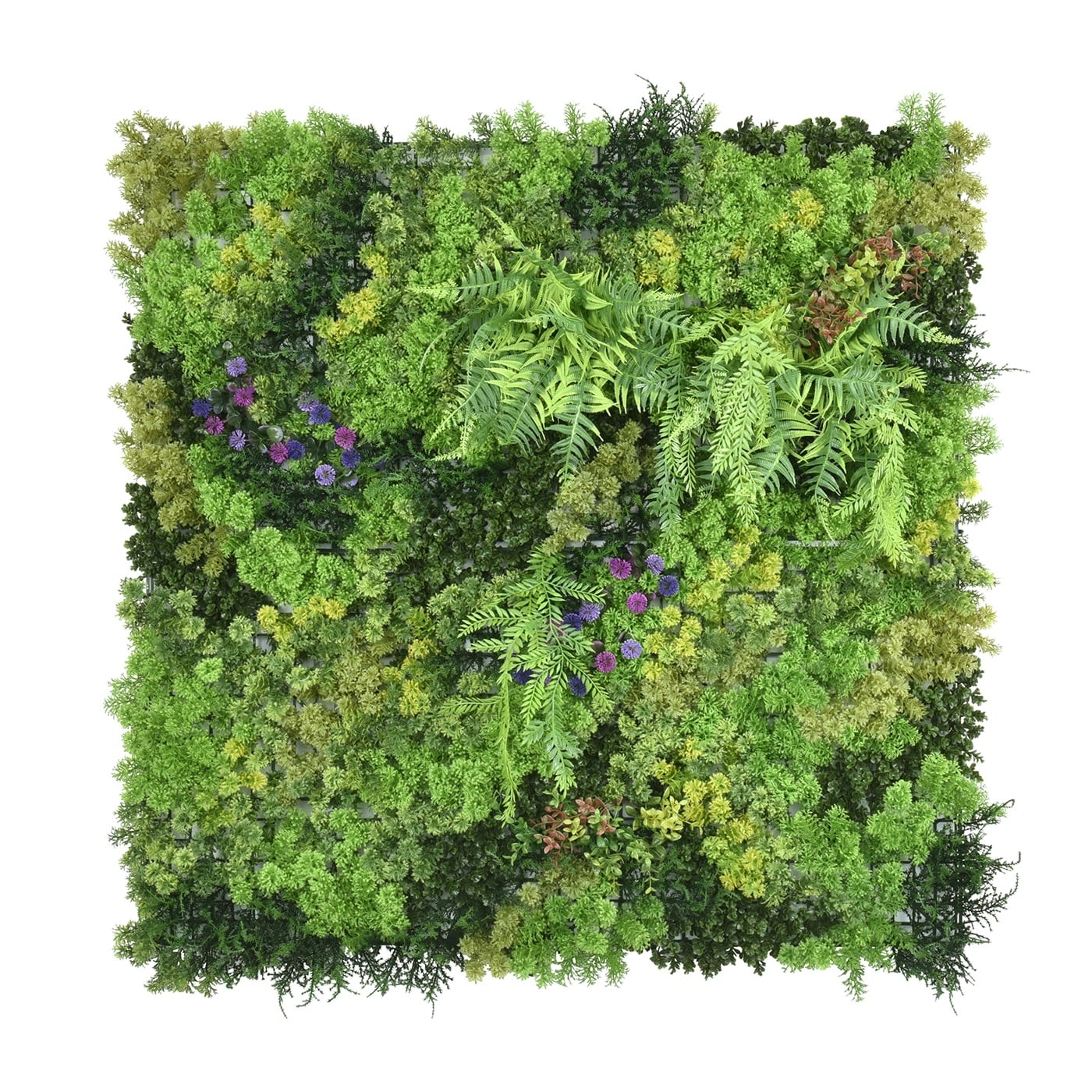 Пано изкуствена зелена декорация My Garden MossB CCGK026C / 100х100см