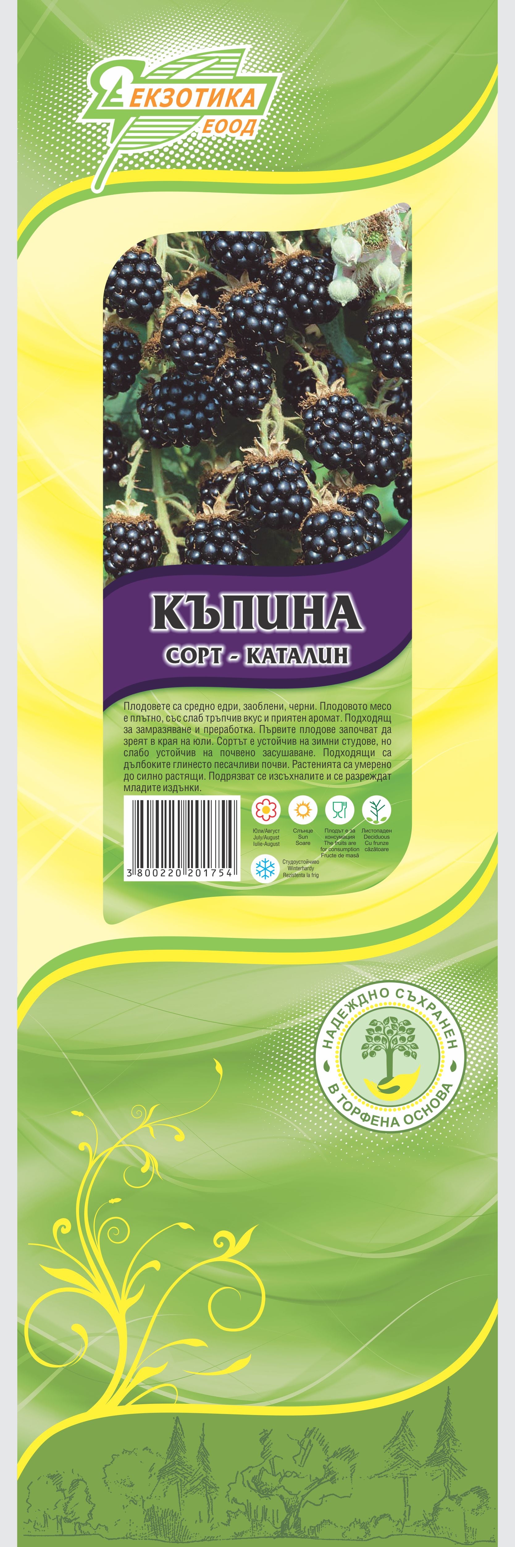 Къпина в пакет