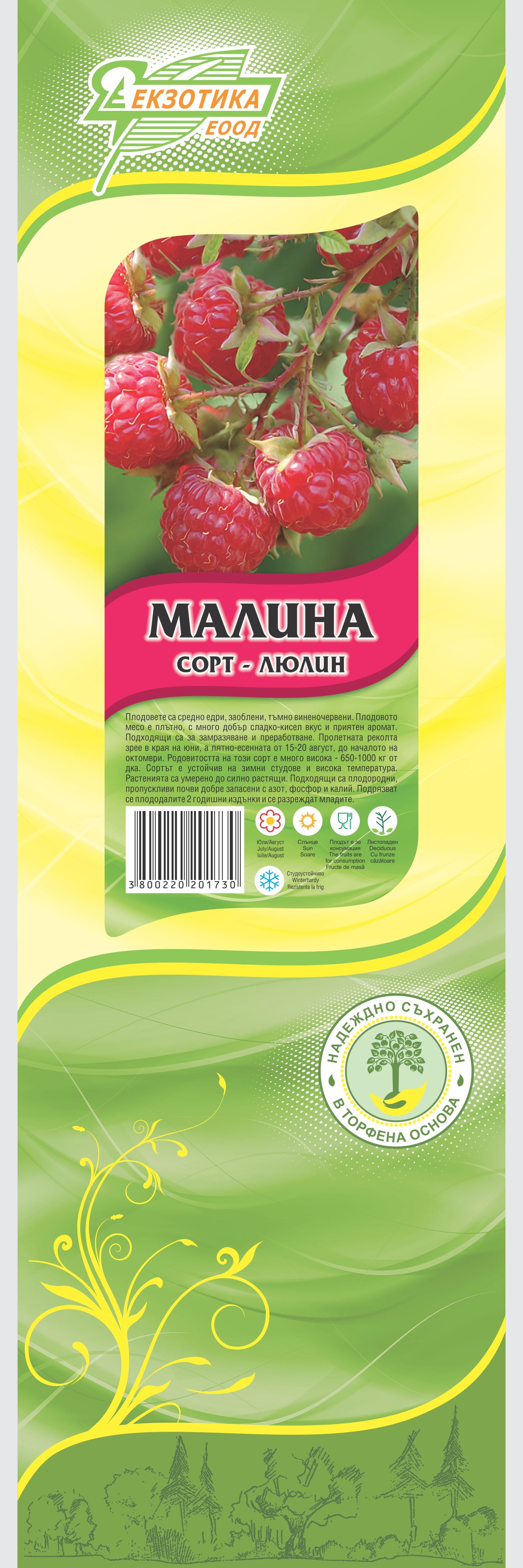 Малина сорт Люлин в пакет