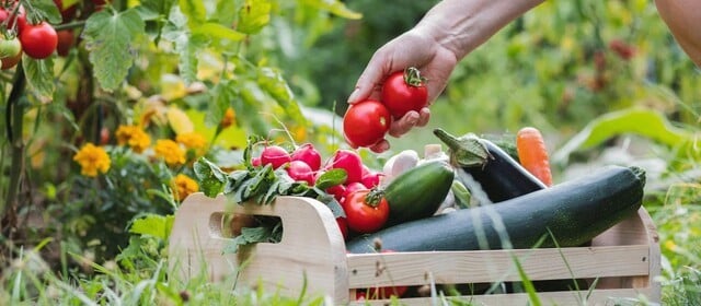 Рецепта за шопска салата – и малко повече смисъл в ежедневието