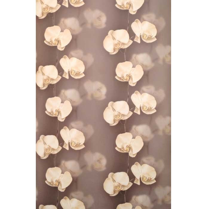 Тапет симплекс Calla 2038-8 / 0.53 х 10м