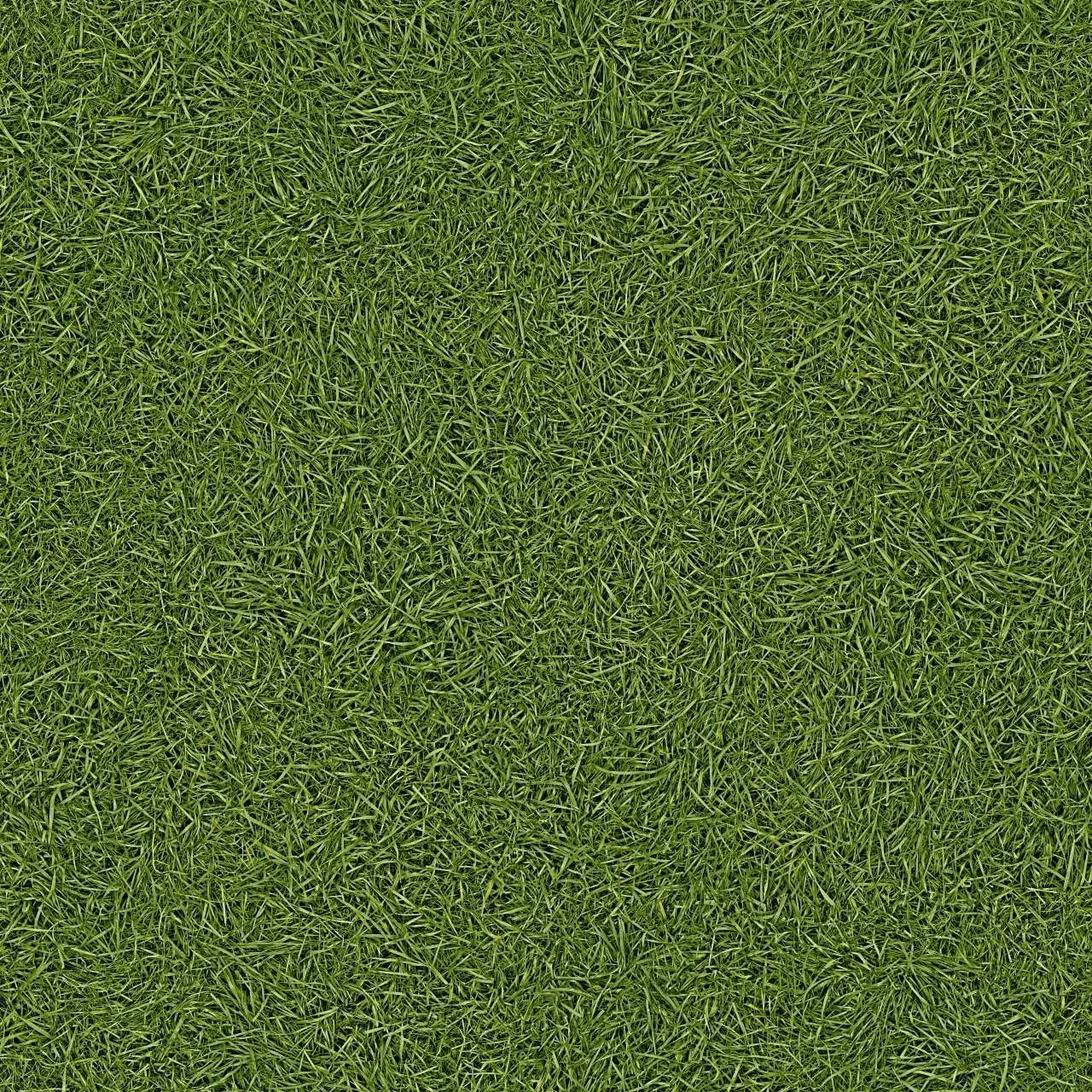 Балатум Artifact Grass 025 ширина 4м