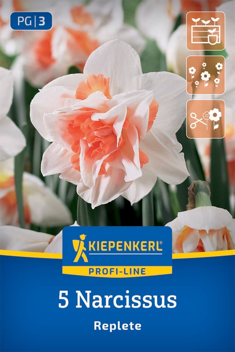 Нарцис Replete