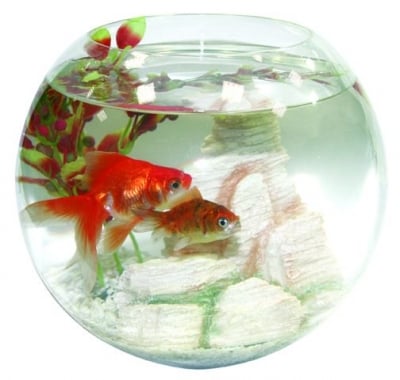Аквариум за риби Колба 10х25см / 5л