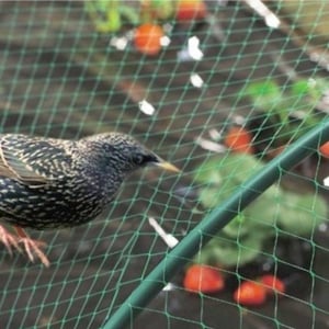 Мрежа срещу птици My Garden 20 г/м2 UV стабилизирана / ширина 5м