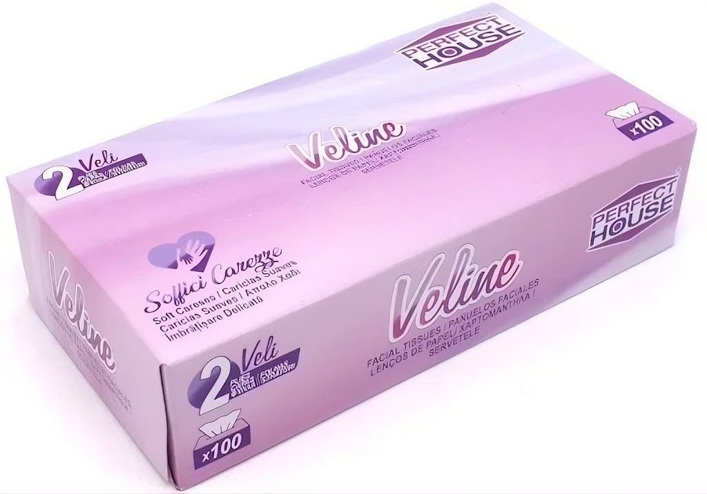 Салфетки в кутия Perfect House Veline 100 броя